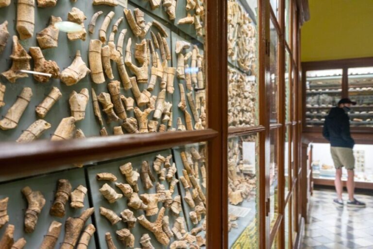 Prehistoric Temples of Malta Tour - Final Thoughts