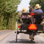 Premium Amish Country Tour including Amish Farm and House - Who This Tour Is Best For
