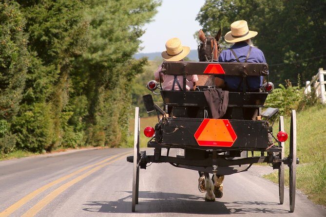 Premium Amish Country Tour including Amish Farm and House - Who This Tour Is Best For