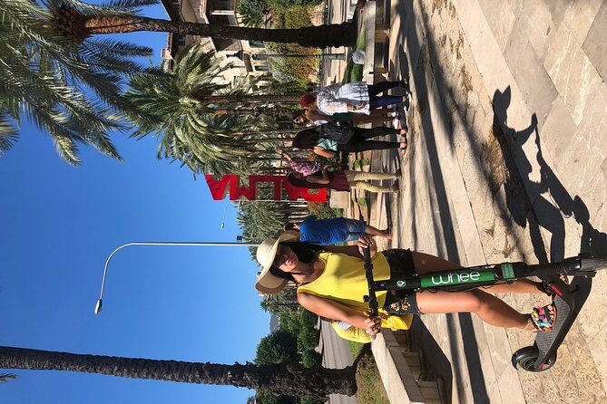 Premium electric Scooter rental with optional delivery - The Ride: What Youll See and Experience