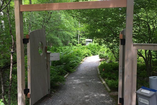 Premium Narrated Bus Tour of Bar Harbor and Acadia National Park (3.5 Hours) - Transportation and Group Size