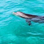 Premium Non-Private 3 Hour Crab Island and Eco Tour with Bathroom - Practical Aspects of the Tour