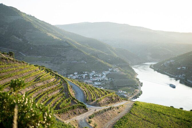 Premium Private Douro Tour: 2 Wineries with Tastings & Cruise - What We Loved About This Experience