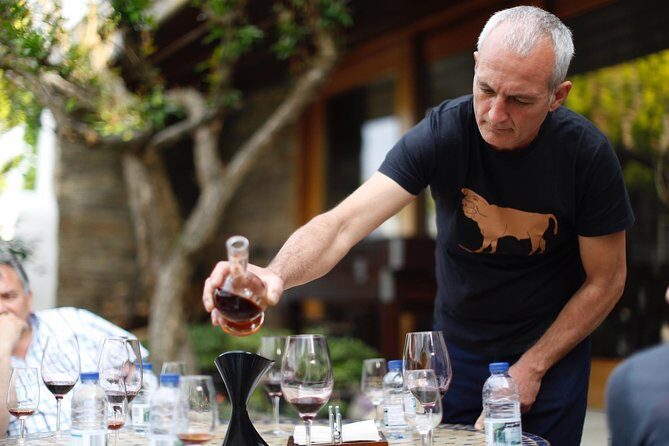 Premium Private Douro Tour: 3 Wineries with Tastings & Lunch - What Travelers Say About the Tour