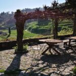 Premium Private Douro & Vinho Verde Tour: Wine Tastings & Lunch - The Views and Atmosphere