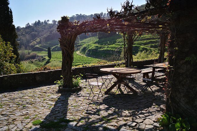 Premium Private Douro & Vinho Verde Tour: Wine Tastings & Lunch - The Views and Atmosphere
