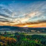 Premium Tour of Olympia: Wine & Dine Retreat - Practical Details and What They Mean for You