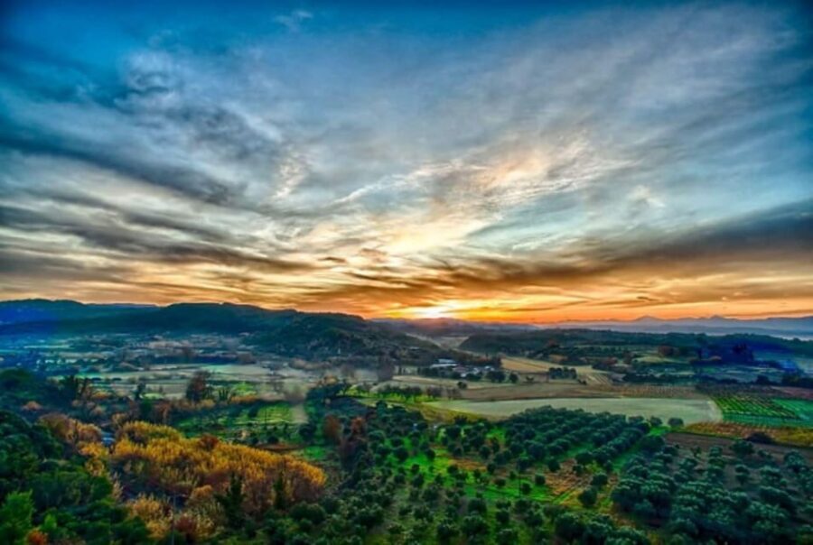 Premium Tour of Olympia: Wine & Dine Retreat - Practical Details and What They Mean for You