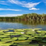 PREMIUM TOUR SMALL GROUP From Bucharest to the Danube Delta - The Speedboat Experience: Exploring the Hidden Corners