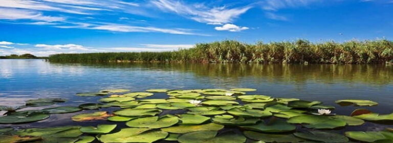 PREMIUM TOUR SMALL GROUP From Bucharest to the Danube Delta - The Speedboat Experience: Exploring the Hidden Corners