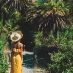 Preveli Beach & Palm Forest :Full-Day Tour with Lunch Box - Who Should Consider This Tour?