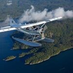 Prince of Wales Island Bear-Viewing Tour By Air From Ketchikan - Final Thoughts