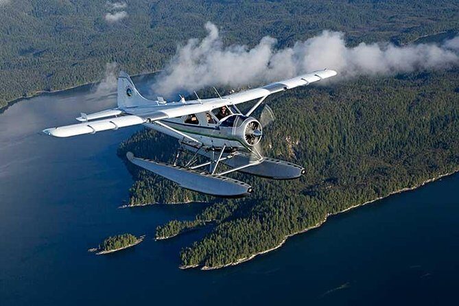Prince of Wales Island Bear-Viewing Tour By Air From Ketchikan - Final Thoughts