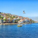 Princess Island Tour Full Day with Lunch - A Closer Look at the Princess Island Tour Experience