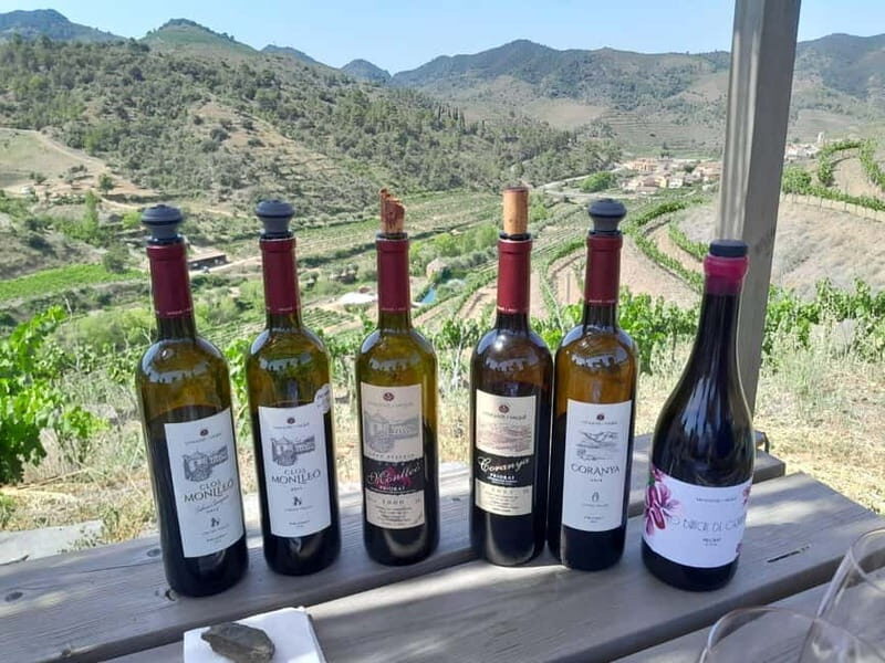 Priorat tour to 3 small wineries and hotel pick-up - First Stop: Sangenis I Vaque Winery