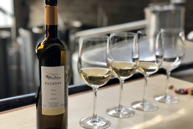 Priorat Wineries Tour with Wine Tastings & Lunch from Barcelona - Who This Tour Is Perfect For