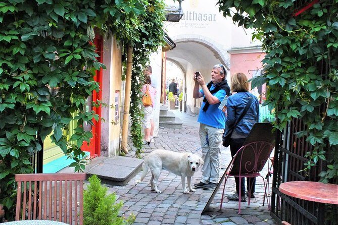 Private 2.5-Hour Tour of Tallinn Old Town in a Spacious Mercedes Minivan - Final Thoughts