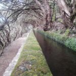 Private - 25 Fontes and Risco Waterfall Guided Tour - What to Expect on the Hike