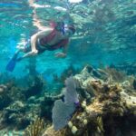 Private 3 in 1 Discovery Combo Tours Tulum Ruins, Snorkeling & Cenotes Adventure - Snorkeling at the Reef: Underwater World Awaits