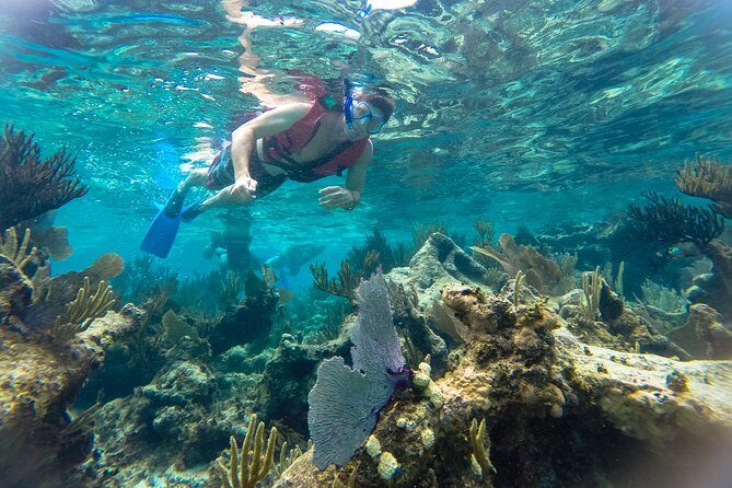 Private 3 in 1 Discovery Combo Tours Tulum Ruins, Snorkeling & Cenotes Adventure - Snorkeling at the Reef: Underwater World Awaits