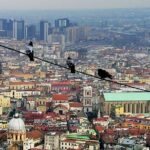 Private 4-Hour Walking Tour of Naples with official tour guide - What Travelers and Reviews Say