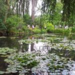 Private 5-hour Round Transfer to Giverny, Claude Monet museum from Paris - Cost and Value