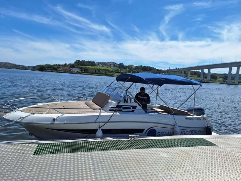 Private 6 Bridges Cruise in Porto with Optional Sunset - The Practicalities and Considerations