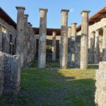 Private 8-hour Excursion of Naples and Pompeii from Naples Cruise Port or Hotel - Transportation and Logistics