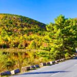 Private Acadia & Mount Desert Island Tour (full day, six hours) - Why This Tour Stands Out