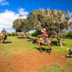 Private Advanced Trail Ride - Who Is This Tour Best For?