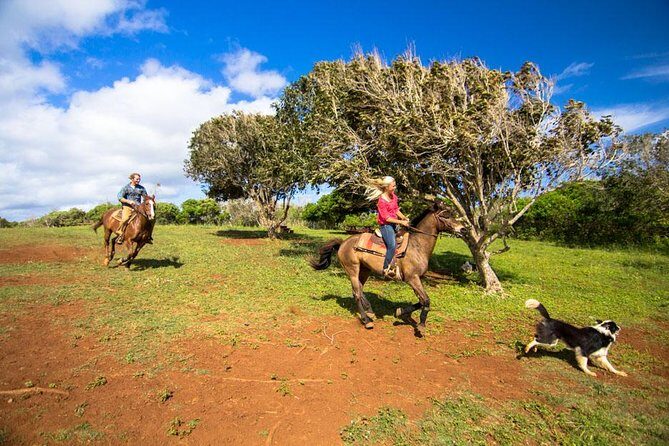 Private Advanced Trail Ride - Who Is This Tour Best For?