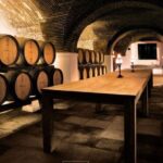 Private Alentejo Wine Tour & Évora Heritage from Lisbon - The Itinerary in Detail
