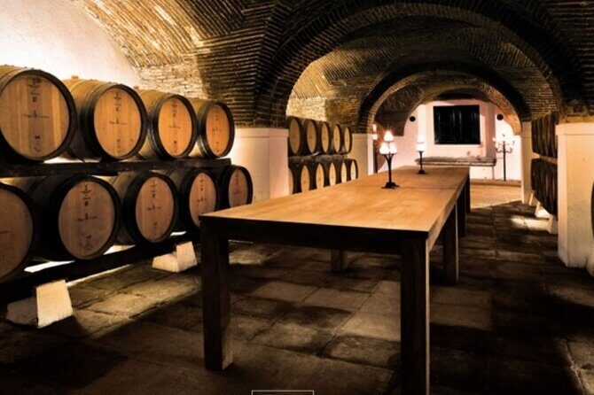 Private Alentejo Wine Tour & Évora Heritage from Lisbon - The Itinerary in Detail
