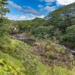 Private - All Inclusive Big Island Waterfalls Tour - Final Thoughts