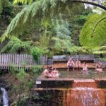 Private - All of Furnas, Tea Plantation, ticket to Beija included - Transport, Comfort, and Personal Touch