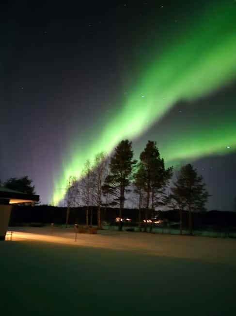 Private and authentic reindeer experience in homefarm - Authentic Reviews & Feedback