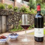 Private and Guided Tour on Etna with Wine Tasting included - The Practical Details