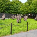 Private and personalized tour of Washington dc - Who Is This Tour Best For?