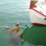 Private Argostoli Walking Experience - Why Travelers Love This Experience