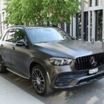 Private Arrival Transfer: from Geneva Airport to Interlaken - The Details: What’s Included and What’s Not