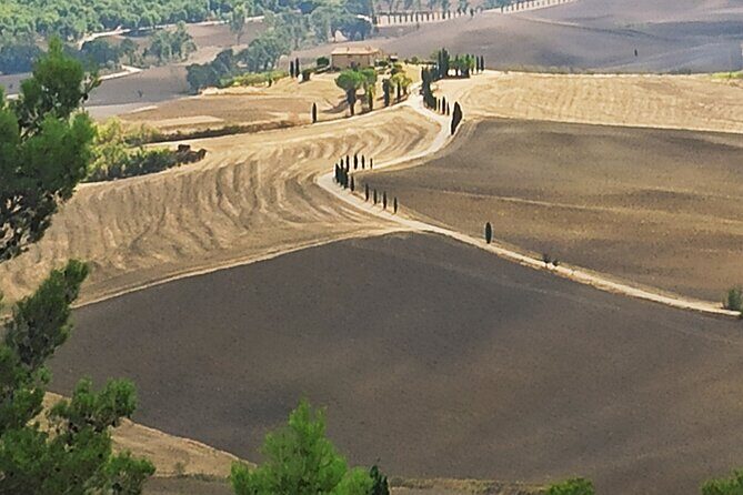 Private Art & Wine Tour in Cortona & Montepulciano, with lunch & 2 wine tastings - An In-Depth Look at the Tour Itinerary