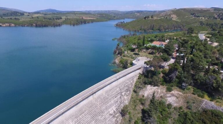 Private Athens to Marathon History & Culture Daytrip - Who Will Love This Tour?