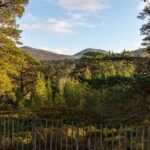 Private Balmoral Walking Tour to Queens Secret Cabin & the Castle - The Itinerary Breakdown