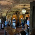 Private Barolo Wine Tour with Winemaker from Turin - What to Expect During the Day