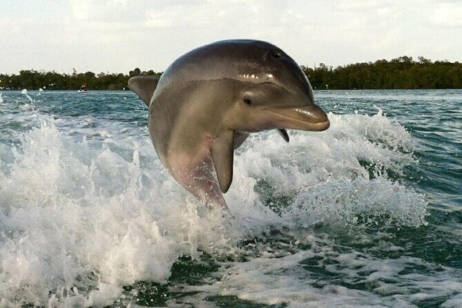 Private Beach or Sunset Boat Tour In Naples Florida - Authentic Voices & What Travelers Say