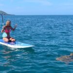 Private Beginner Paddleboard Lesson with Snorkel in Turtle Town - The Experience in Detail