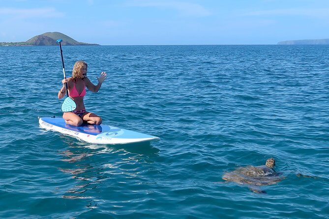 Private Beginner Paddleboard Lesson with Snorkel in Turtle Town - The Experience in Detail