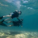 Private Beginner Scuba Diving Experience in Cabo San Lucas - What Could Be Improved?
