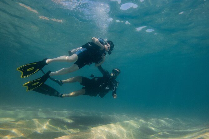 Private Beginner Scuba Diving Experience in Cabo San Lucas - What Could Be Improved?