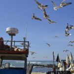 Private Best Fish Experience From Porto - Who Is This Tour Best For?